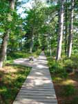 nature trail on Madeline Island