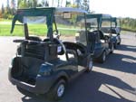 Deluxe carts at whitewater golf course